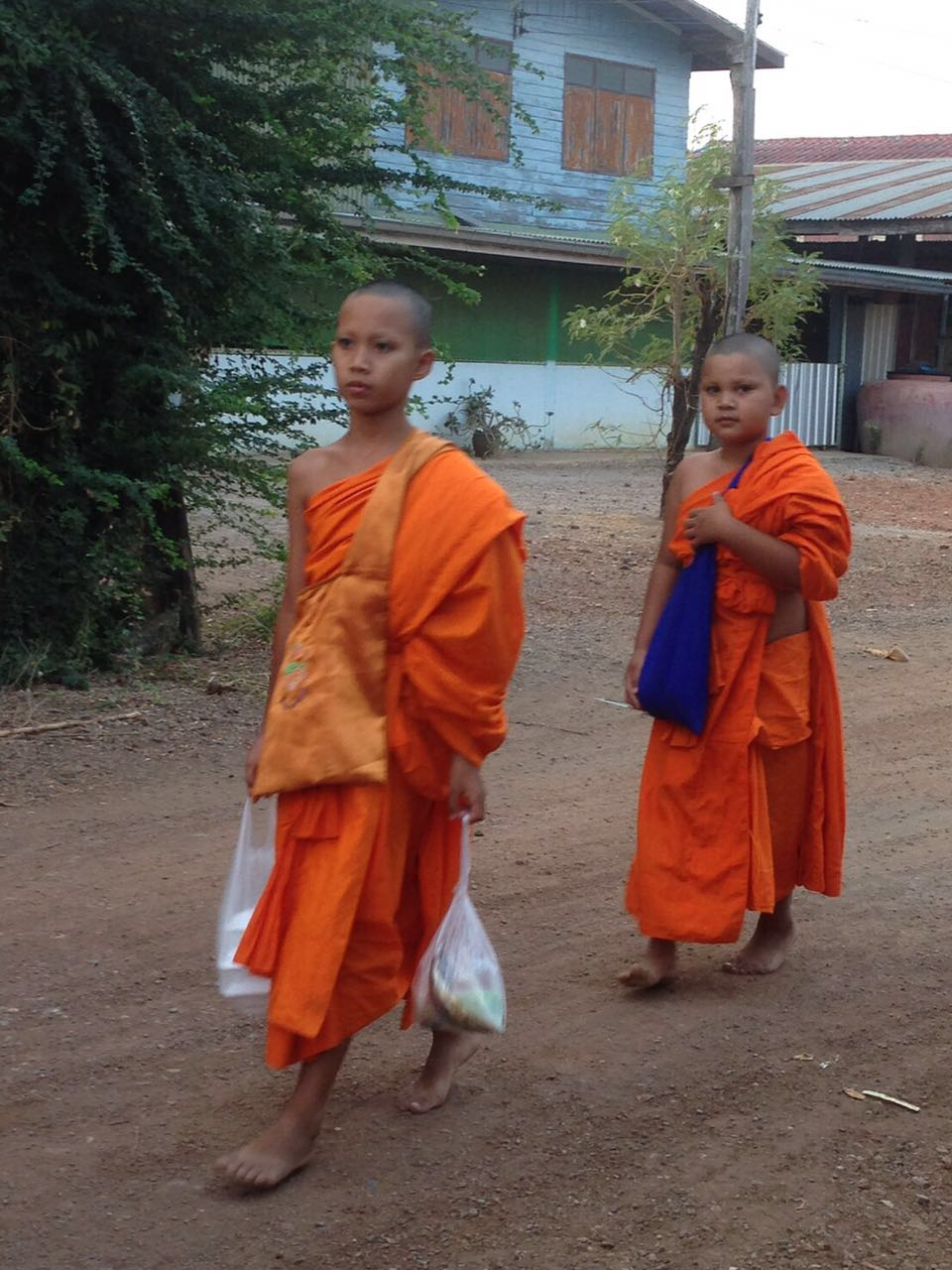 Young Buddhist monks in traditional orange robes