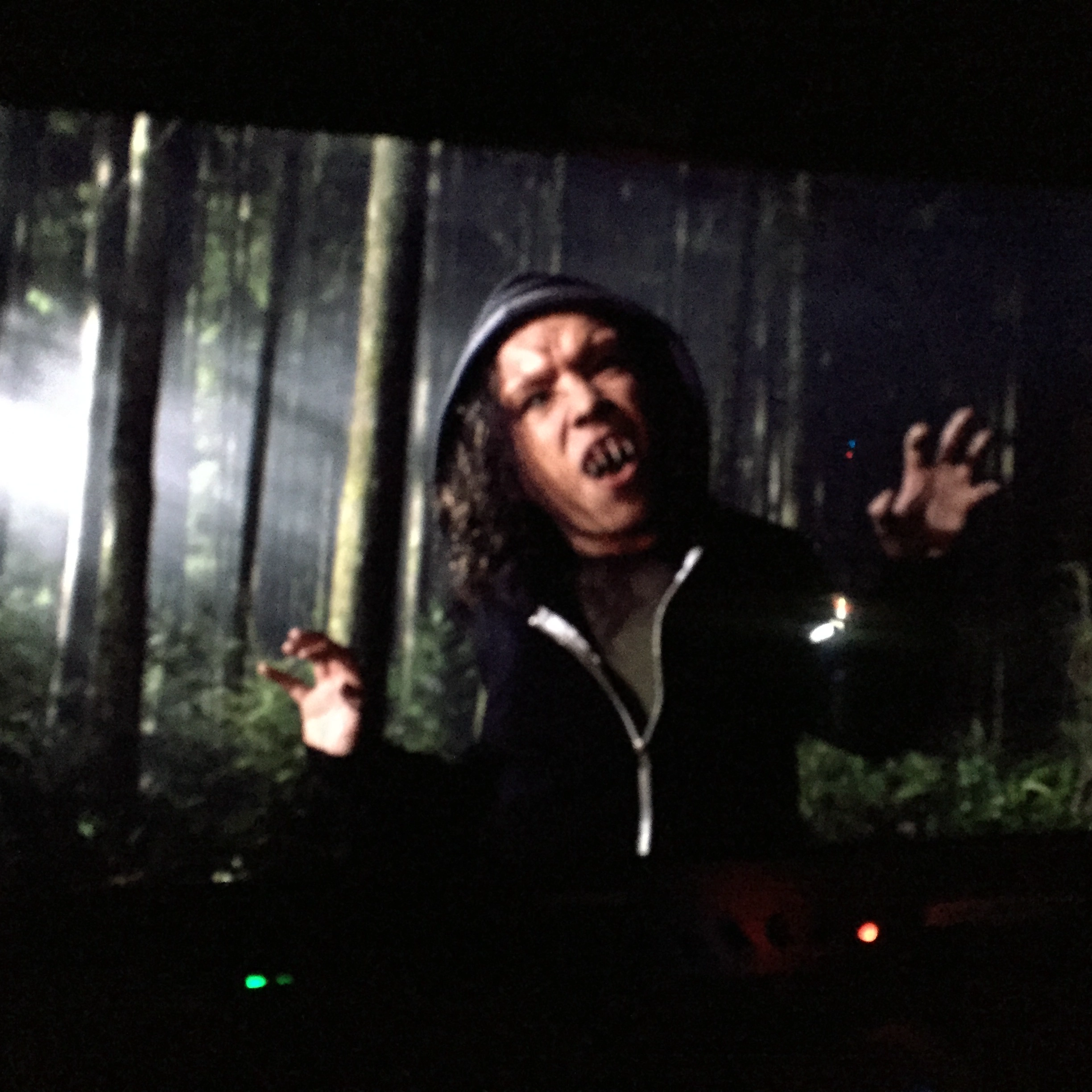 Paul Slatter on the set of a film about killer cats